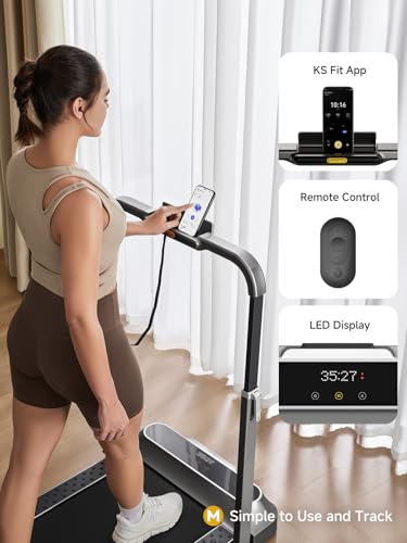 2-in-1 Foldable Walking Pad Treadmill